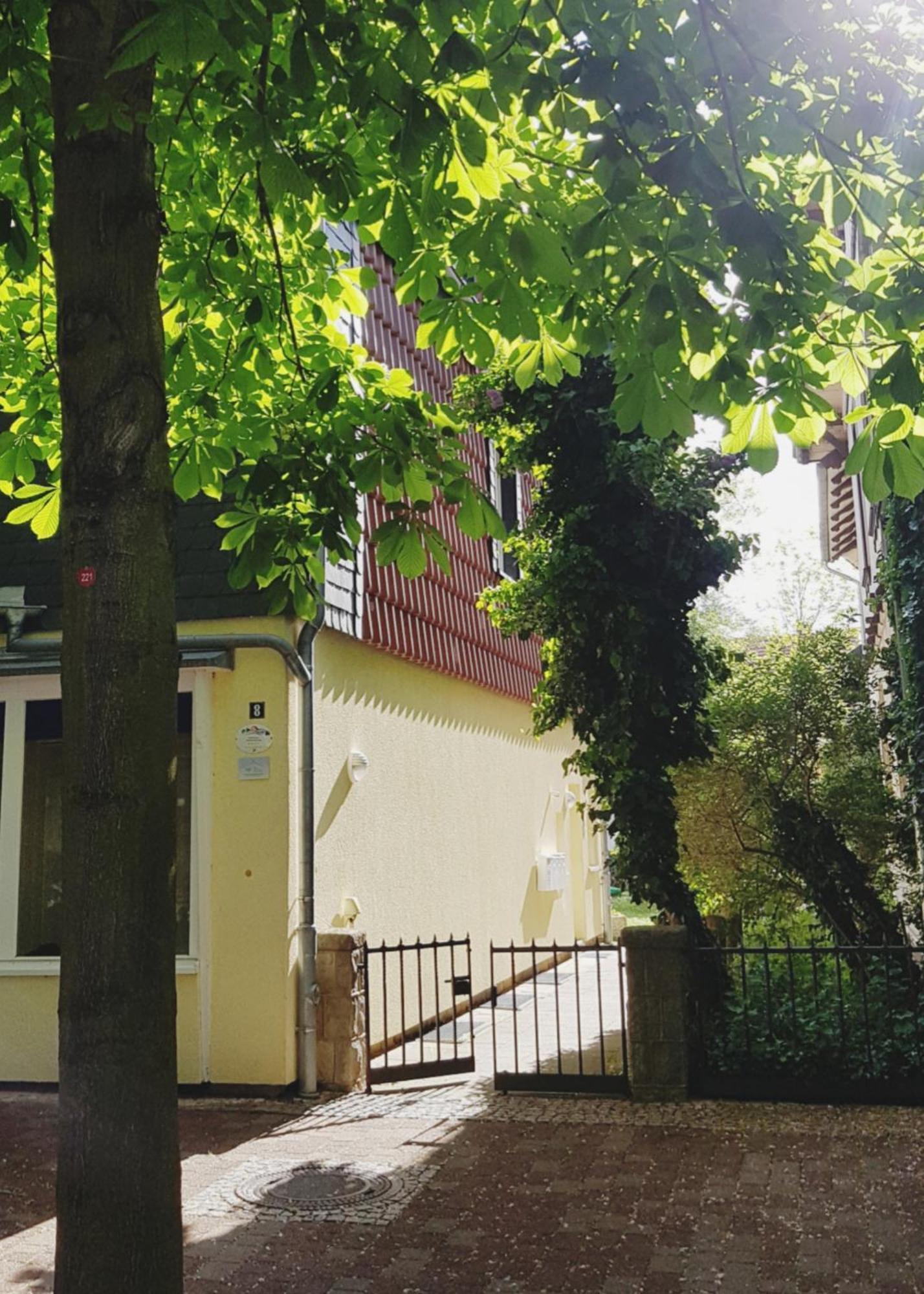 Ferienwohnung Nest Bad Harzburg Exterior photo